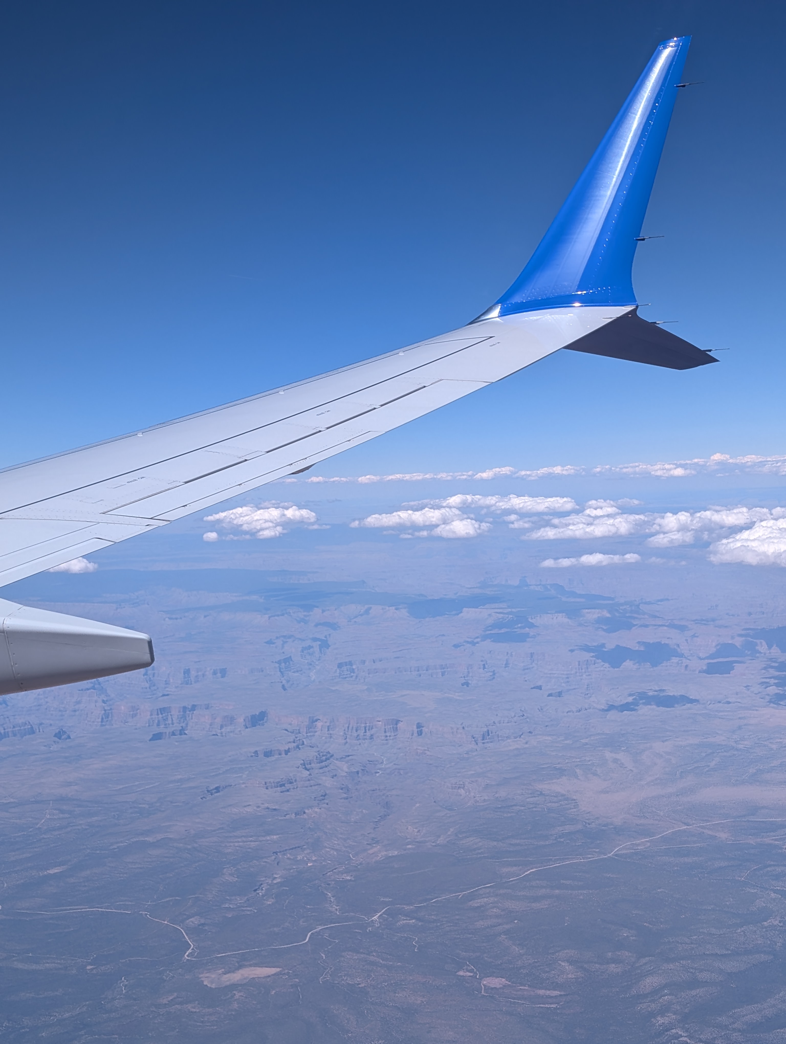Winglet