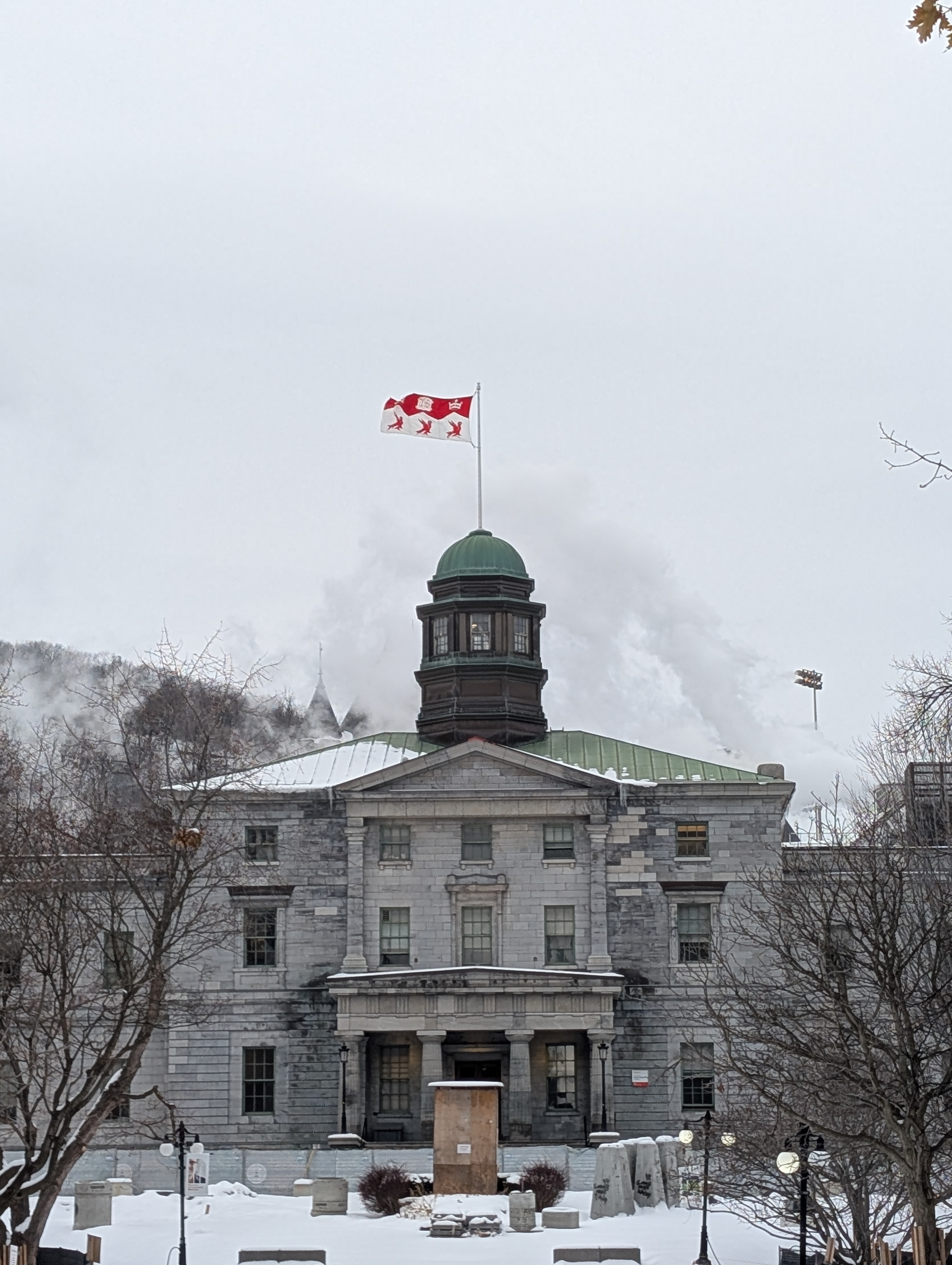 Image of McGill University